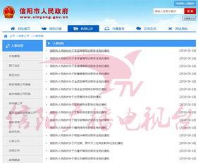 信阳头条最新爆料,重大事件背后惊人内幕曝光！