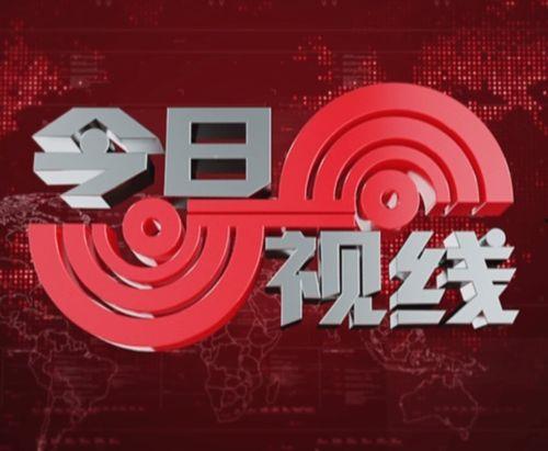 爆料今日视线最新消息,最新热点事件深度解析